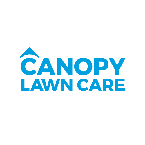 Introducing Franchise FastLane's Newest Brands The Tox and Canopy